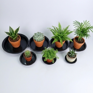 High Quality Glazed White Round Flower Pot Base Trays Decorative Ceramic Plant Saucers Drip Catchers for Home Office - Product Image 3