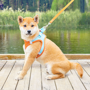 เสื้อกั๊กไนลอนแบบมีสายรัดปรับระดับโลโก้และดีไซน์เนอร์สำหรับสุนัข/แมวเป็นมิตรกับสิ่งแวดล้อม - Product Image 4