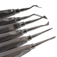 Kit d'extraction radiculaire pour dents de dentiste, instrument chirurgical, en acier inoxydable, 13 pièces
