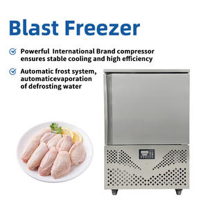 تجاري مخصص - 45 ℃   خزانة تجميد سريع بست طبقات منخفضة الحرارة للغاية للمأكولات البحرية واللحوم - Product Image 1
