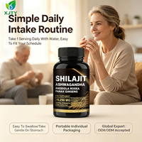 Vente en gros d'usine - Shilajit 8-en-1 - Complément alimentaire naturel pour adultes - Immunité - Anti-fatigue - Ashwagandha - Rhodiola Rosea - Panax