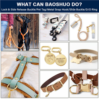 Boucle de ceinture personnalisée pour collier de chien, accessoires de fixation, anneau en D en alliage de zinc de 1 pouce, boucle à dégagement latéral dorée de 3/4 pouces