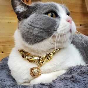 <span class=keywords><strong>Collar</strong></span> de perro cachorro de gato de oro rosa de lujo <span class=keywords><strong>Collar</strong></span> de plástico personalizable Enlace cubano <span class=keywords><strong>Collar</strong></span> de mascota personalizado Cadena Bulldog de moda - Product Image 1