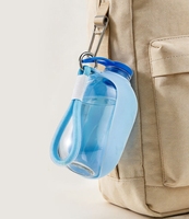 Bouteille d'eau pliable portable professionnelle pour animaux de compagnie, en silicone, pour la promenade des chiens et des chats