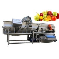 Complete 3 ton/uur, 5 ton/uur, 10 ton/uur verse en diepvries fruit- en groentewas-, snij-, blancheer-, koel- en vriesmachinelijn