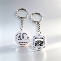Etiqueta Inteligente RFID NFC de PVC de 13.56MHz, Mini Etiqueta Tipo Tarjeta de Visita con Código QR, Control de Acceso sin Contacto, Llavero para Mascotas, Chip 216, Resistente al Agua