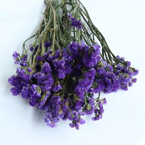 Suministro directo de fábrica Flor eterna Flor estática preservada duradera No <span class=keywords><strong>me</strong></span> olvides para la decoración de la boda del Día de San Valentín - Product Image 6