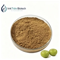 Puur natuurlijk Phyllanthus Emblica Amla fruit Indiaas kruisbes extract poeder Triphala