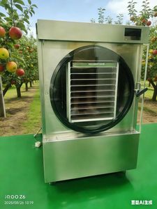 Guxing 6Kg 10Kg 20Kg Capacity Home Food Freeze Dryer Machine PLC Control Bitzer/Leybold Pump SUS304 Stainless Steel 28KW Power 1 - Product Image 3