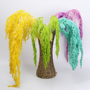 Carenado de maranthi, - Product Image 6