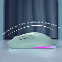 Kabel Penerima USB M2 Tipe-C Mouse Nirkabel 2.4G Isi Ulang 4800 DPI RGB Backlit 6D Mouse Gaming Ergonomis