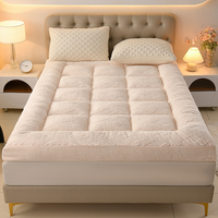 Housse de matelas INFILECO personnalisable, écologique, en fibre de polyester chimique, épaissie, douce, toutes saisons, pour la maison, la chambre à coucher, le dortoir étudiant