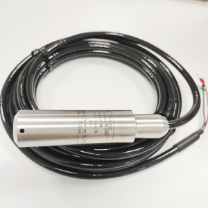RS485 MODBUS <strong>Submersible</strong> Hydrostatic Water <strong>Level</strong> <strong>Sensor</strong> IP68 Industrial OEM Support High Quality SS304 0-100m Accuracy CIPPUS - Product Image 2