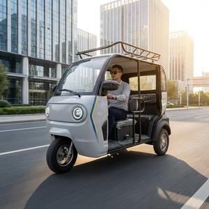 Tricycle Électrique Mini 2026 60V avec Porte-Bagages/Toit, Véhicule Électrique Domestique à Basse Vitesse pour le Transport de Marchandises, Vente Chaude au Japon - Product Image 4