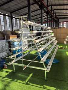 מערכת הידרופונית מסגרתית, דרגה מסחרית, NFT, מתקן שתילה אנכי - Product Image 3