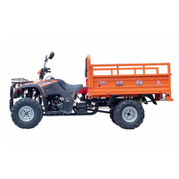 NoBoWan 250Cc Quad agricole, Buggy des dunes, Tondeuse multifonctionnelle, 320kg, Prix de gros, 12.5kW de puissance, Garantie 1 an