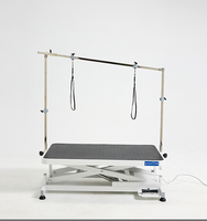 Table de toilettage électrique de luxe pour animaux de compagnie