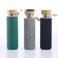 Gobelet en verre de qualité alimentaire, bouteille d'eau en verre borosilicate à double paroi avec infuseur à thé et couvercle filtrant 350ml 450ml 500ml