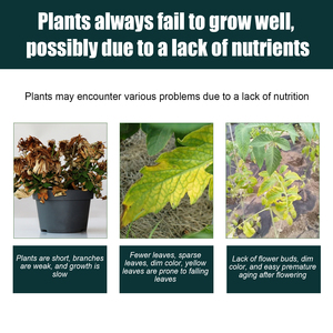 <span class=keywords><strong>Engrais</strong></span> liquide de qualité supérieure pour plantes de 30ml pour améliorer la santé du sol et la floraison de toutes les plantes - Product Image 6