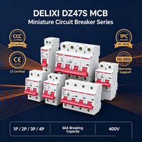 Mini Interruptor Automático Delixi MCB 2P, Carcasa IP20, Capacidad de Ruptura de 6kA, Protección Li, Certificación CCC CE, Múltiples Tipos