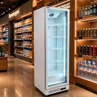 Réfrigérateur commercial à porte vitrée, à refroidissement direct mécanique, en acier inoxydable, à faible niveau sonore, pour la présentation de boissons en magasin