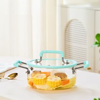 Ensemble de casseroles en verre borosilicate de grande capacité en gros, pot à bouillir transparent avec poignée en acier inoxydable et silicone