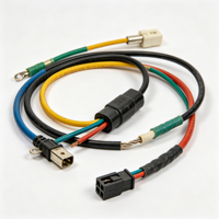 Rangkaian Kabel Harness Inti Tembaga Kustom dengan Selubung PVC untuk Kabinet PLC Industri Konektor 2 Pin 3 Pin 300 mm 24V