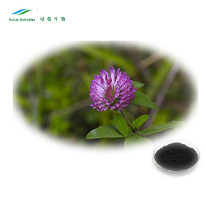 Extrait de trèfle rouge biologique, poudre de trèfle rouge biologique séchée avec isoflavones - Product Image 1