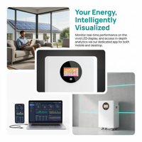 Paquete de Baterías LiFePO4 de 48V 100Ah 300Ah con Ecualizador Activo, 15Kwh, Más de 6000 Ciclos, BMS RS485 CAN, Almacenamiento de Energía Doméstica, Batería de Litio de 51.2V