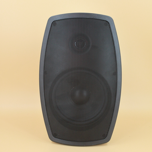 F-LHY5V Professional 5.25 Inch 30W Two-way Audio Plastic Passive Speaker Black and White Customized Wall Mounted Speaker