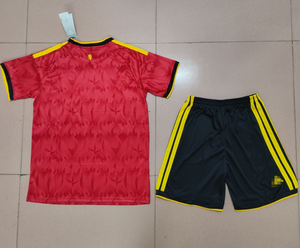 Maillot de football jacquard haute qualité version 1.1 pour adulte, équipe nationale, saison 2026 - Product Image 1