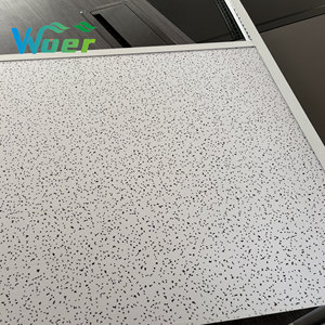 <span class=keywords><strong>Pannelli</strong></span> per Controsoffitti in Gesso <span class=keywords><strong>60x60</strong></span> Rivestiti in Vinile e Laminati in PVC dal Design Moderno e di Tendenza del Fornitore Woer - Product Image 3