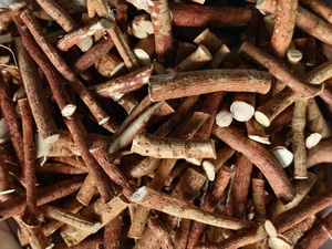 Otantik beş parmaklı şeftali tozu orta büyük adet Vitamin Boost çorba hazırlama zengin hindistan cevizi lezzet gıda bitkisel özü - Product Image 3