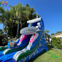 Toboggan aquatique gonflable en forme de requin avec piscine pour adultes et enfants, utilisation éducative en jardin, application commerciale, matériau PVC