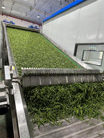 Hoge Kwaliteit Mesh Riem Droger Voor Groenten En Fruit Zeevis & Hetelucht Dehydrator Machine Voor Het Drogen Van Warm Voedsel