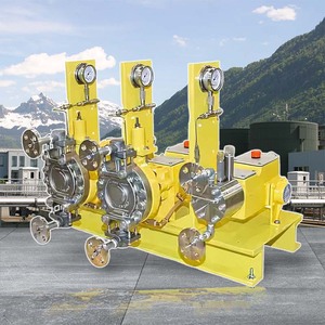 Pompe doseuse à membrane LMI haute pression pour liquides acides et huiles, série MILROYAL Milton Roy, en acier inoxydable, avec moteur à engrenages, garantie 1 an - Product Image 2