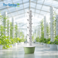 Système de culture hydroponique à 9 étages sans lumière LED, tour de culture verticale sans terre pour légumes