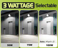 Reflector LED delgado de 7 años de garantía, IP67, 100w, 70w, 50w, CRI>80, 3 CCT, 5 CCT con color seleccionable y múltiples opciones de potencia.