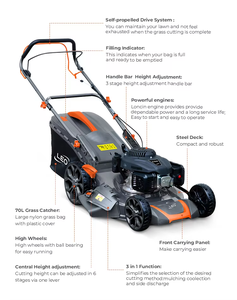 ขายตรงจากโรงงาน เครื่องตัดหญ้าแบบขับเคลื่อนด้วยตัวเอง รุ่น LM56Z-2L (V200) ออกแบบอย่างมืออาชีพ ปรับแต่งได้ตามต้องการ LM56Z-2L(V200) ความกว้างการตัด 56 นิ้ว - Product Image 4