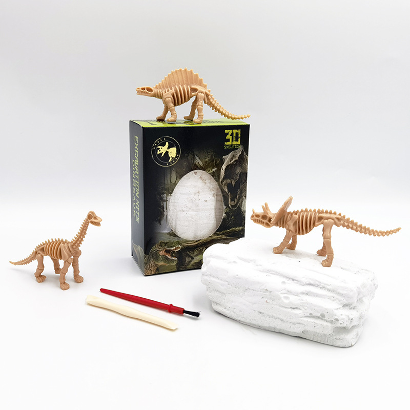 D008-kit di scavo scheletro di dinosauro