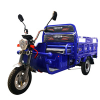 Tricycle Listrik Ukuran Dapat Disesuaikan 1000W dengan Kotak Kargo untuk Penggunaan Pertanian