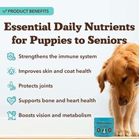 Multivitamines en comprimés à mâcher pour chiens, marque privée, 25-en-1, complément alimentaire pour animaux de compagnie, soutien immunitaire, foie, articulations, peau, santé digestive, vitamines