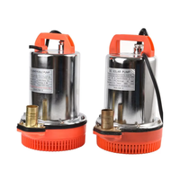 Pompe à eau submersible électrique solaire portable mini 12V 24V DC pour puits profond, vente en gros