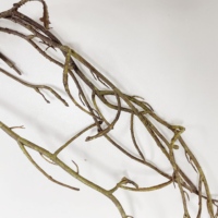 Vv297 Nouveau Design 180cm Branches Séchées Branches D'arbre Branche D'arbre Sèche Mariage Salon Café Décor Plafond Décoration