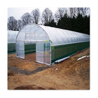 Systèmes hydroponiques à faible coût pour la culture commerciale de tomates et de légumes en serre avec film plastique