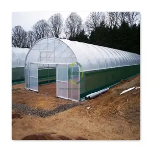 Agriculture commerciale <span class=keywords><strong>Tomate</strong></span> cultiver des légumes Serre à faible coût Systèmes hydroponiques avec film plastique - Product Image 2