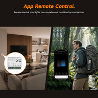 Module d'interrupteur WiFi intelligent universel GIRIER Tuya DIY avec relais de contrôle physique bidirectionnel AC100-240V 1/2 Gang