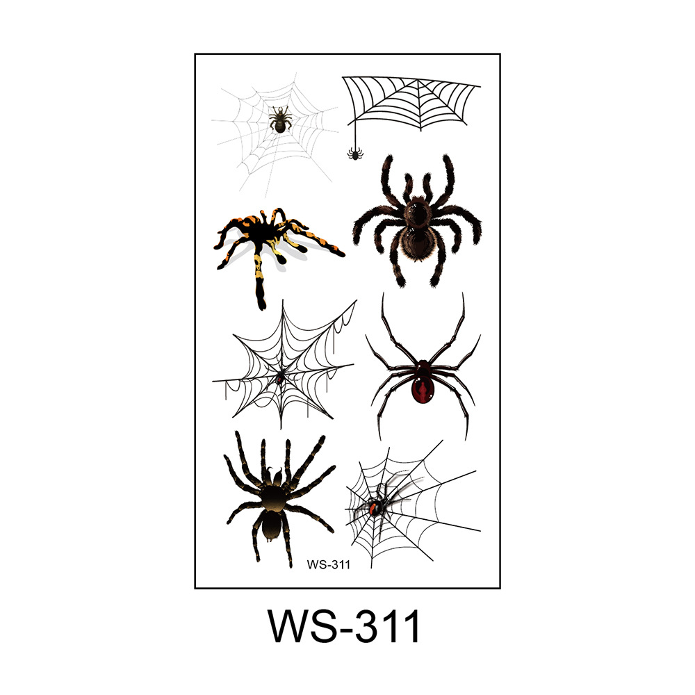 WS-311