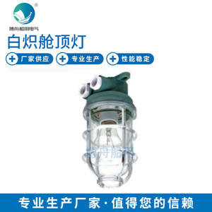 Luminaire d'extérieur étanche pour applications marines, luminaire de plafond de cabine CCD6-2 à incandescence spécifique aux navires, fabriqué en matériau PC pour quai - Product Image 1