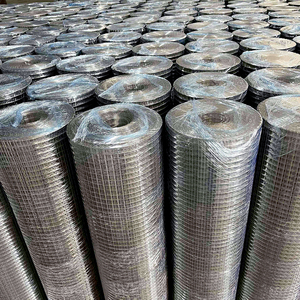 Toptan Kaynaklı Ferforje Antik Demir Tel Örgü, Evcil Kuş, Bıldırcın, Tavşan, Tavuk ve Küçük Hayvan Kafesleri, Taşıyıcılar, Köpek Kafesi için - Product Image 5